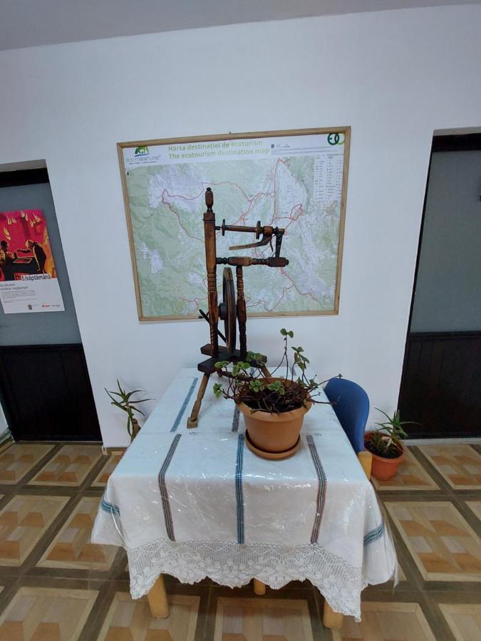 Pensiune Agroturistica "Casa Teodora" Budeşti エクステリア 写真
