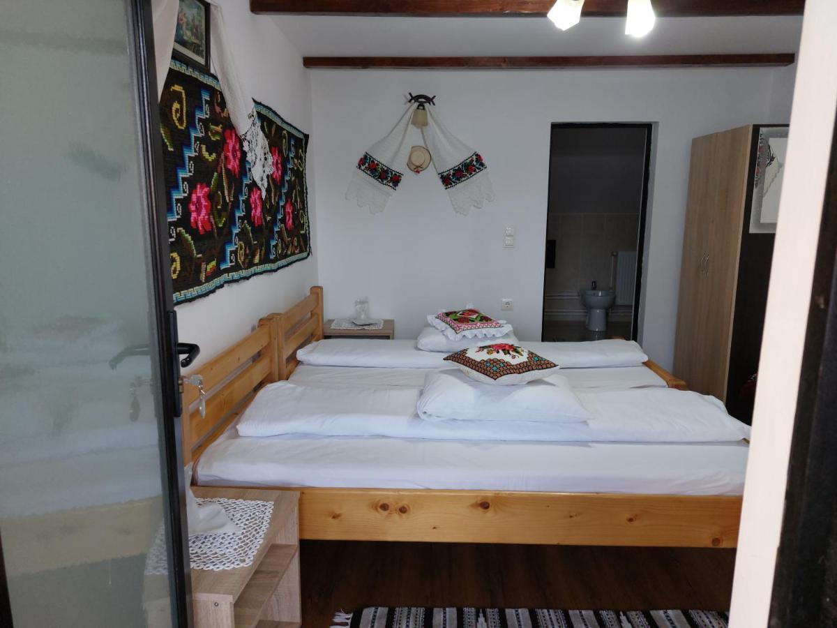 Pensiune Agroturistica "Casa Teodora" Budeşti エクステリア 写真