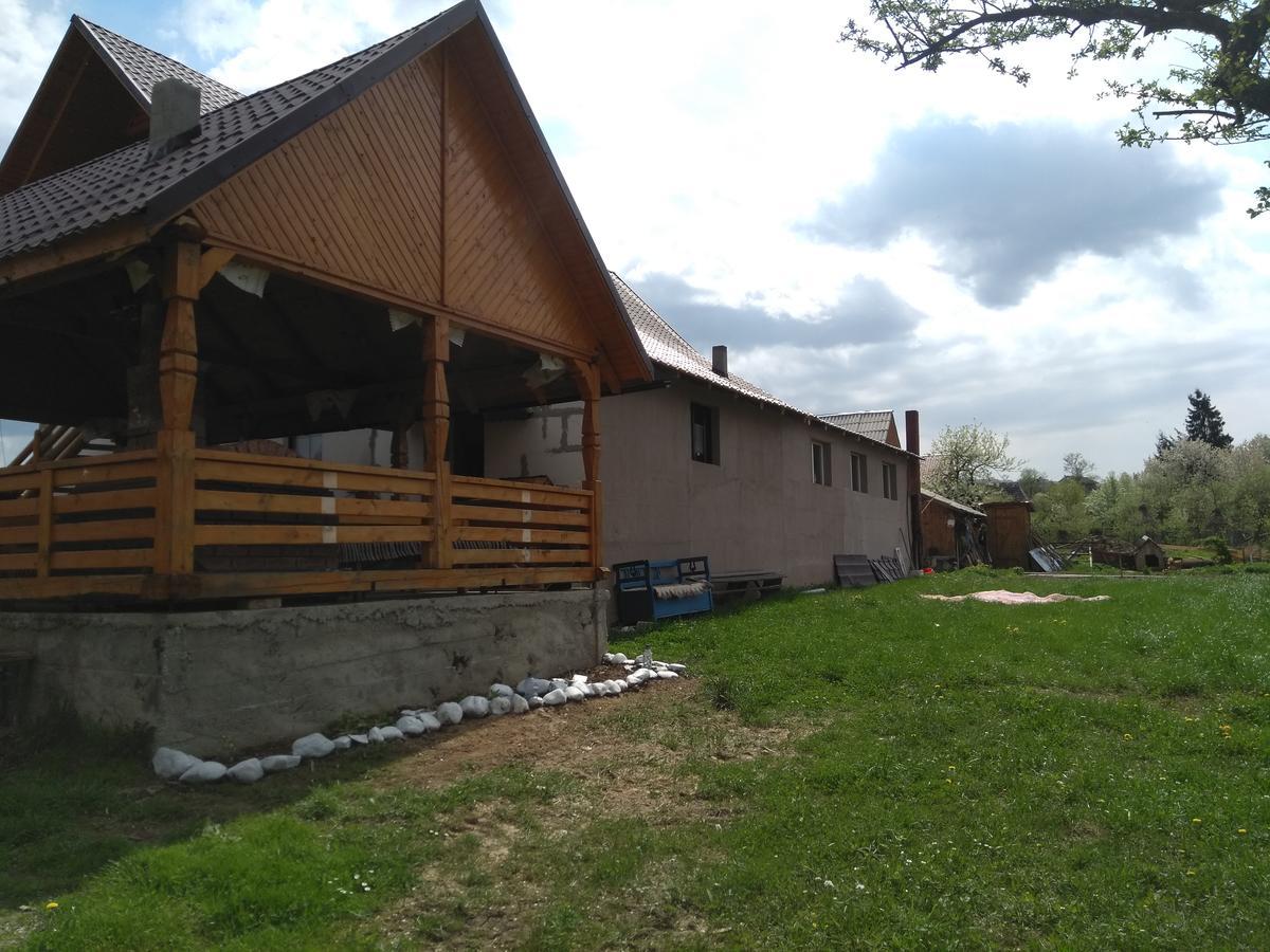 Pensiune Agroturistica "Casa Teodora" Budeşti エクステリア 写真