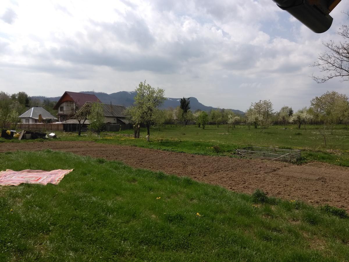 Pensiune Agroturistica "Casa Teodora" Budeşti エクステリア 写真