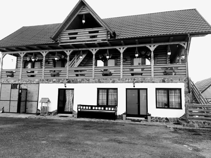Pensiune Agroturistica "Casa Teodora" Budeşti エクステリア 写真