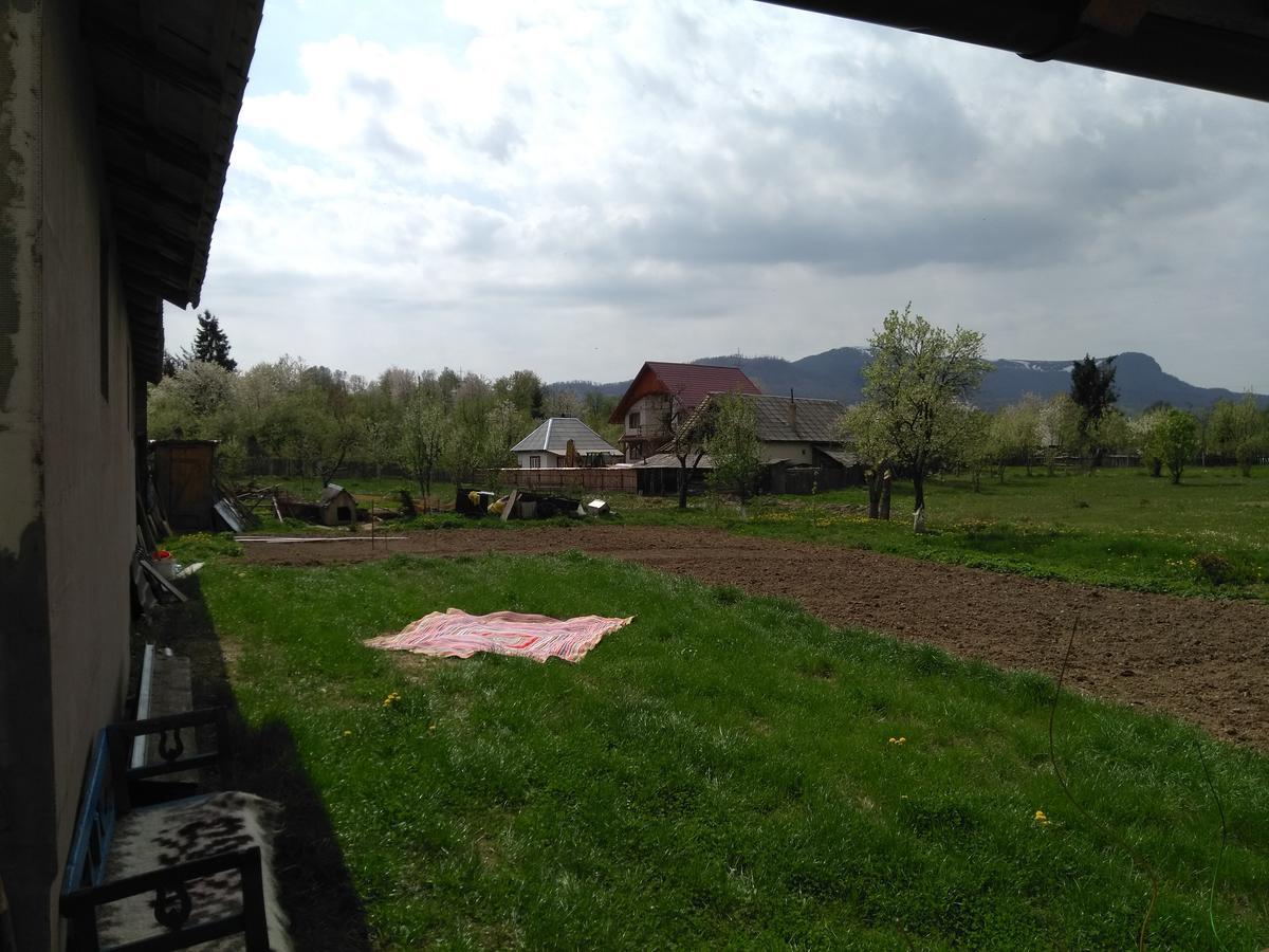 Pensiune Agroturistica "Casa Teodora" Budeşti エクステリア 写真