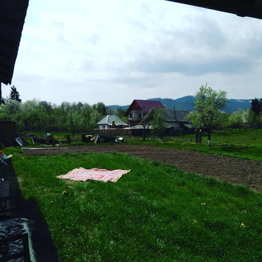 Pensiune Agroturistica "Casa Teodora" Budeşti エクステリア 写真