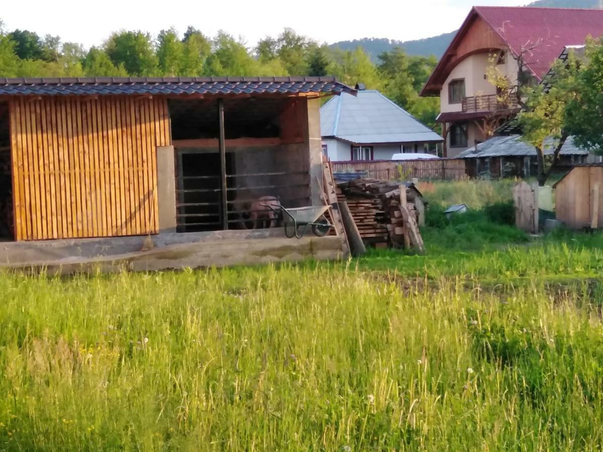 Pensiune Agroturistica "Casa Teodora" Budeşti エクステリア 写真