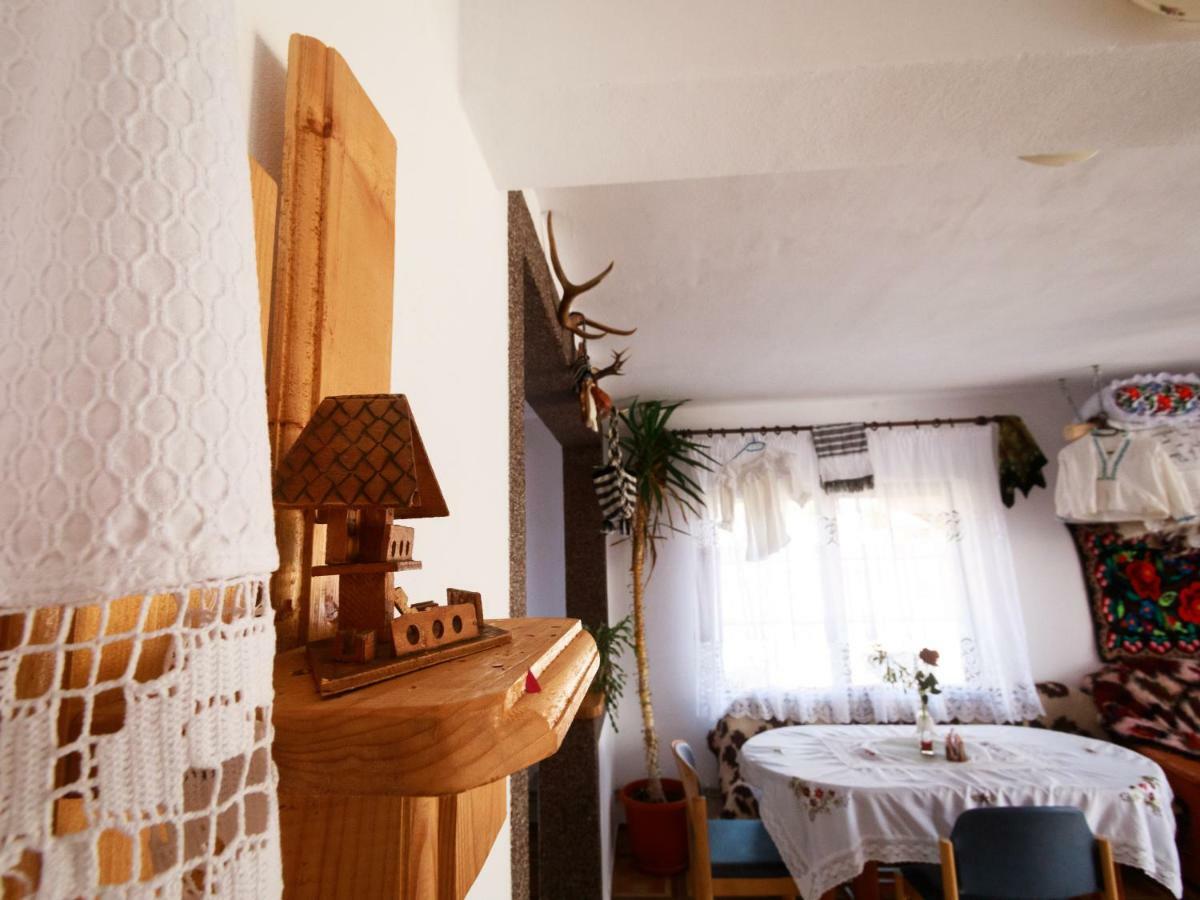 Pensiune Agroturistica "Casa Teodora" Budeşti エクステリア 写真