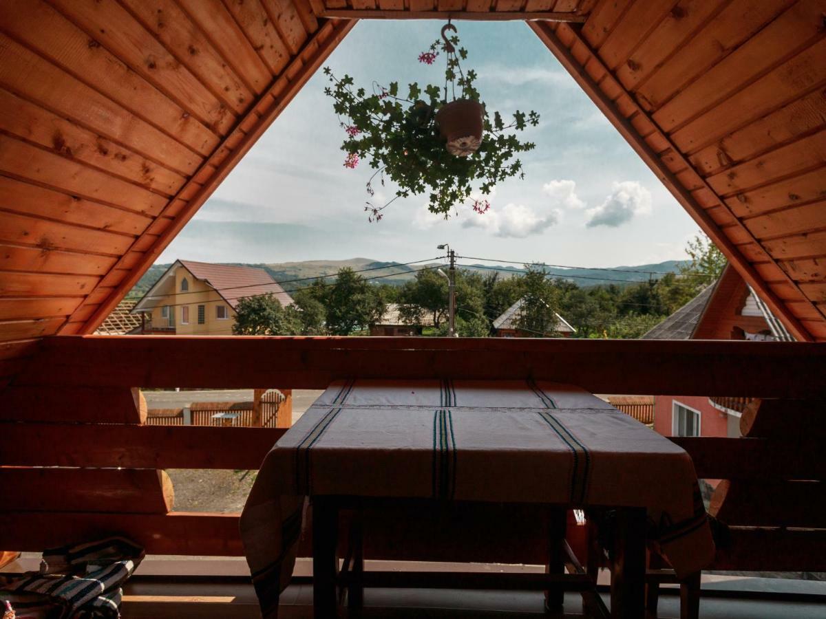 Pensiune Agroturistica "Casa Teodora" Budeşti エクステリア 写真